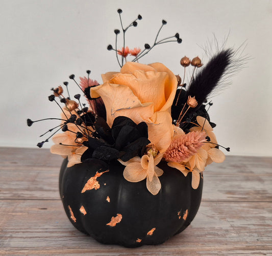 Kleiner Kürbis Schwarz-Lachs